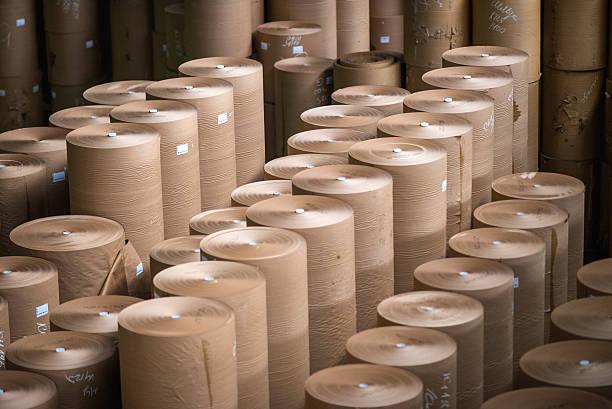 Kraft Paper Rolls